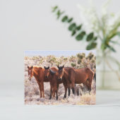 Drie Amigos Briefkaart (Staand voorkant)