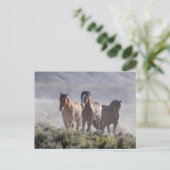Drie Amigos Briefkaart (Staand voorkant)