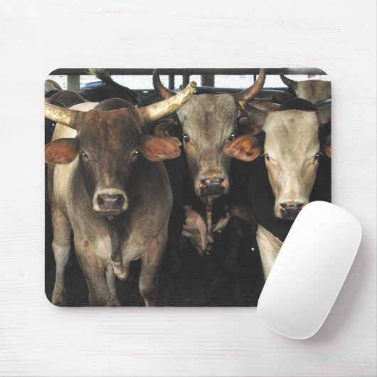Drie Amigos Bulls-kodeo westerne Mousepad Muismat (Met muis)
