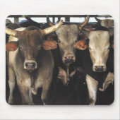 Drie Amigos Bulls-kodeo westerne Mousepad Muismat (Voorkant)