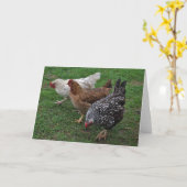Drie Amigos Kaart (Gele Bloem)
