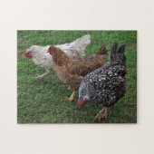 Drie Amigos Legpuzzel (Horizontaal)