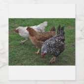 Drie Amigos Wijn Etiket (Enkel label)