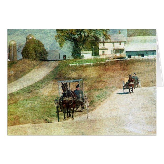 Drie Amish Buggies (Voorkant Horizontaal)