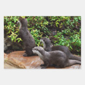 Drie andere, cadeauverpakking, decoupage, lakens, inpakpapier vel (Voorkant 3)