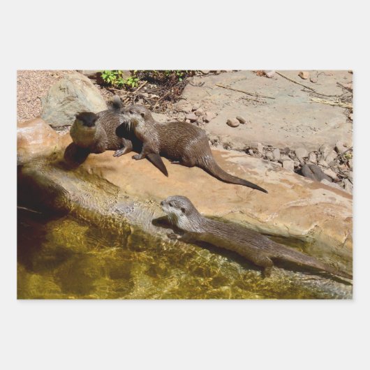 Drie andere, cadeauverpakking, decoupage, lakens, inpakpapier vel (Voorkant 2)