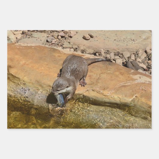 Drie andere, cadeauverpakking, decoupage, lakens, inpakpapier vel (Voorkant)