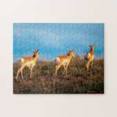 Drie antilope loopt weg bij zonsondergang legpuzzel (Horizontaal)