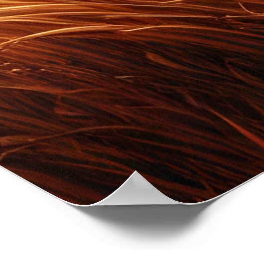 Drie Apen Frolicking in Meadow Poster (Hoek)