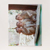 Drie apen samen in het wild legpuzzel (Verticaal)