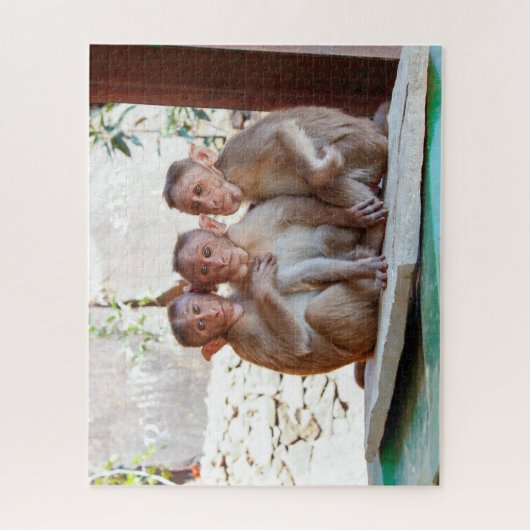 Drie apen samen in het wild legpuzzel (Verticaal)