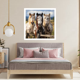 Drie Appaloosa paarden Foto Afdruk