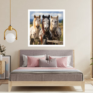 Drie Appaloosa paarden Foto Afdruk