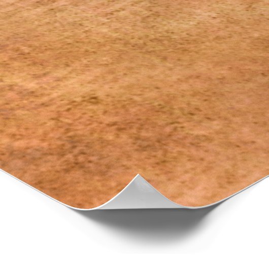 Drie appels en een half poster (Hoek)