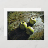 Drie appels feestdagenkaart (Voorkant / Achterkant)