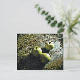 Drie appels feestdagenkaart