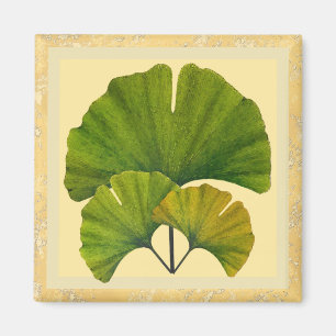 Drie Arts en Crafts Ginkgo Leaves Magneet