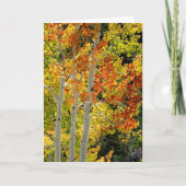 Drie Aspens in het najaar, Blank Wenskaart Kaart (Voorkant)