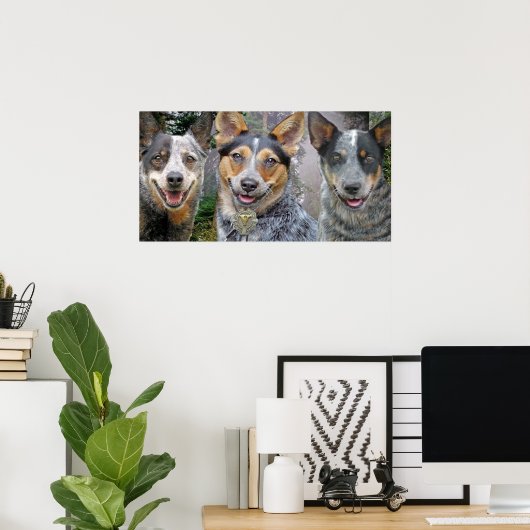 Drie Australische kattenhonden Kunst Poster (Thuiskantoor)