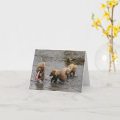 Drie baby beren kaart (Gele Bloem)