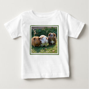 Drie Baby-cavia's,