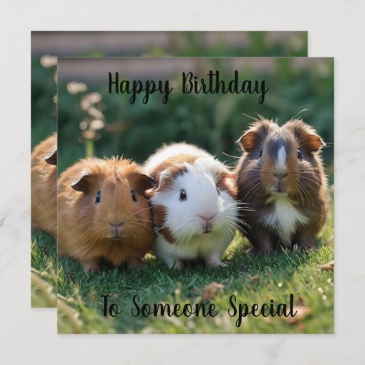 Drie Baby-cavia's, (Voorkant / Achterkant)