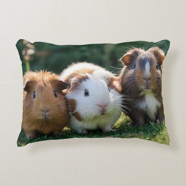Drie Baby-cavia's, Accent Kussen (Voorkant)