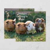 Drie Baby-cavia's, Bedankkaart (Voorkant / Achterkant)