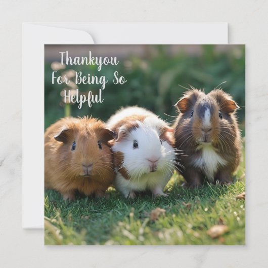 Drie Baby-cavia's, Bedankkaart (Voorkant)