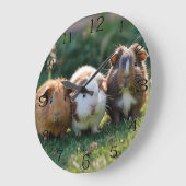 Drie Baby-cavia's, Grote Klok (Hoek)