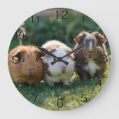 Drie Baby-cavia's, Grote Klok (Voorkant)