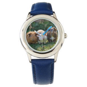 Drie Baby-cavia's, Horloge