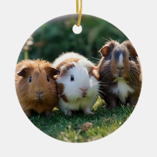 Drie Baby-cavia's, Keramisch Ornament (Voorkant)