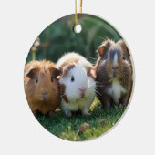 Drie Baby-cavia's, Keramisch Ornament (Links)
