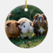 Drie Baby-cavia's, Keramisch Ornament (Achterkant)