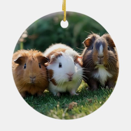 Drie Baby-cavia's, Keramisch Ornament (Achterkant)