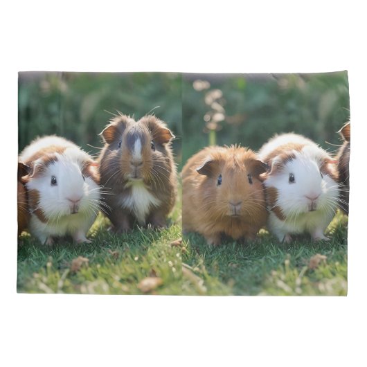 Drie Baby-cavia's, Kussensloop (Achterkant)