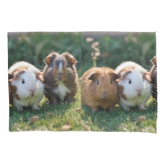 Drie Baby-cavia's, Kussensloop (Voorkant)