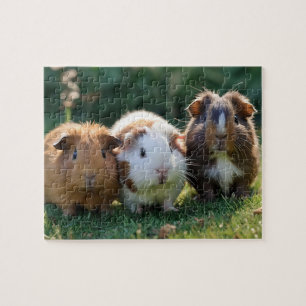 Drie Baby-cavia's, Legpuzzel