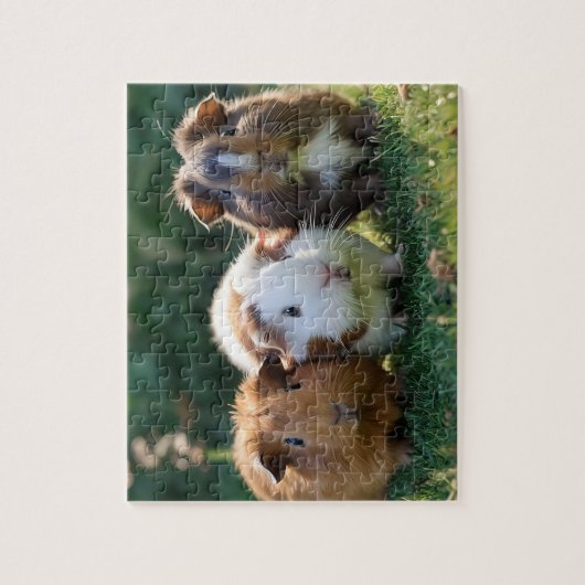 Drie Baby-cavia's, Legpuzzel (Verticaal)