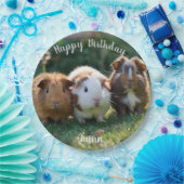 Drie Baby-cavia's, Papieren Bordje (Feest)