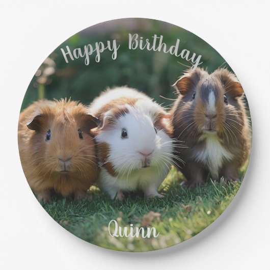 Drie Baby-cavia's, Papieren Bordje (Voorkant)