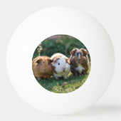 Drie Baby-cavia's, Pingpongbal (Voorkant)
