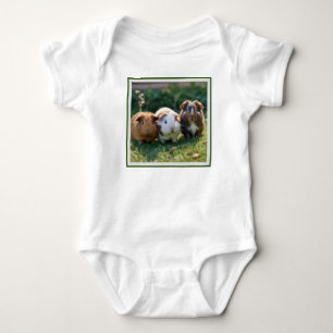 Drie Baby-cavia's, Romper