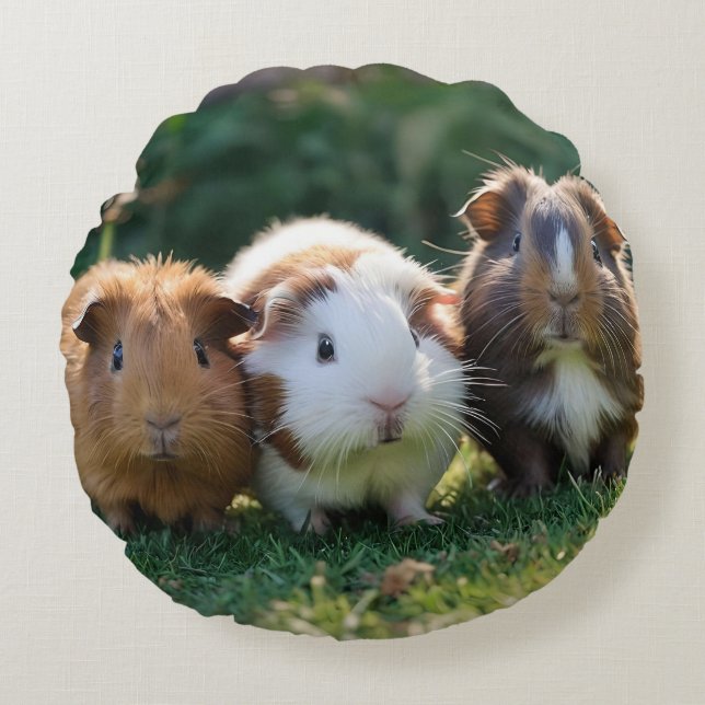 Drie Baby-cavia's, Rond Kussen (Voorkant)