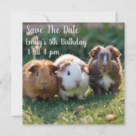Drie Baby-cavia's, Save The Date (Voorkant)