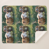 Drie Baby-cavia's, Sherpa Deken (Voorkant (horizontaal))