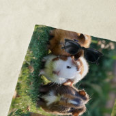 Drie Baby-cavia's, Strandlaken (In situ)