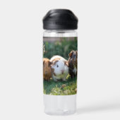 Drie Baby-cavia's, Waterfles (Achterkant)