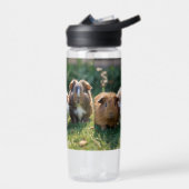 Drie Baby-cavia's, Waterfles (Links)